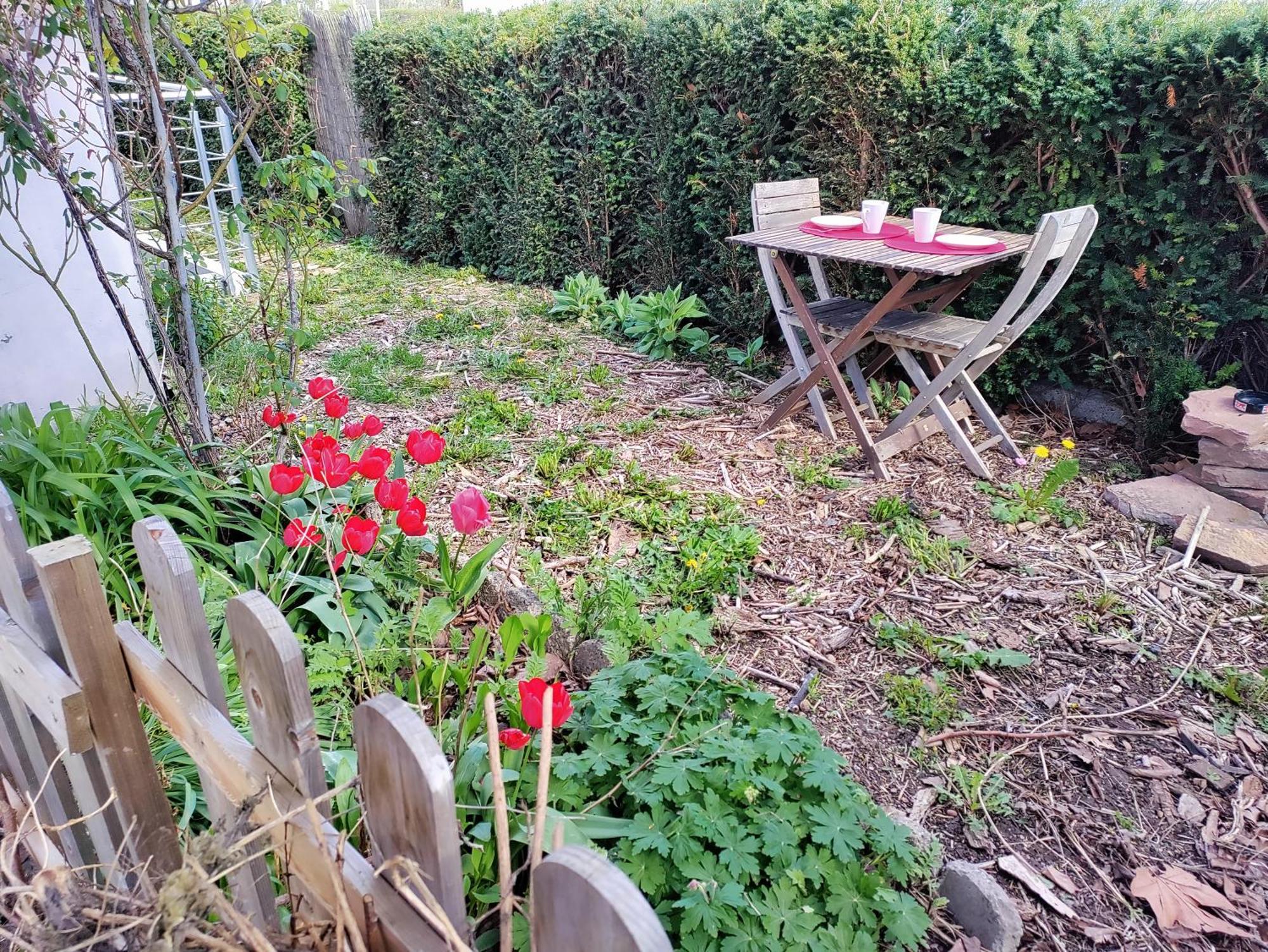 Les Coquelicots, Calme, Jardin Apartment Colmar Exterior foto